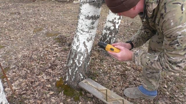 Грибные загадки