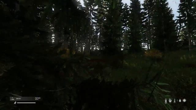 DayZ friendly fire accident смотреть онлайн
