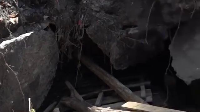 В спартанских условиях смотреть онлайн