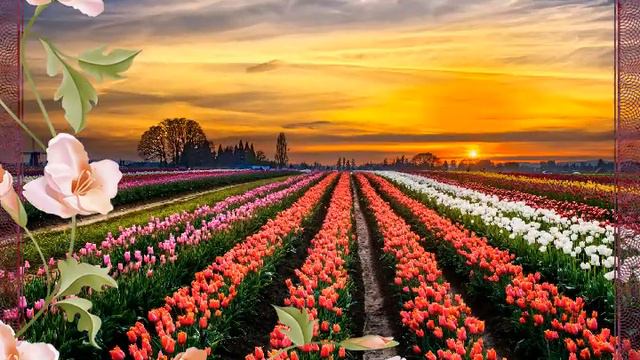 ВСЕВЫШНИЙ АЛЛАХ ГОВОРИТЬ!!! смотреть онлайн