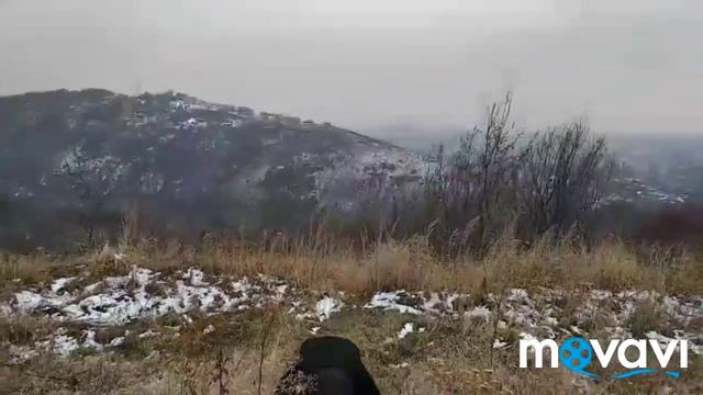 Если хочешь завоевать мир пей BEERKHAN смотреть онлайн