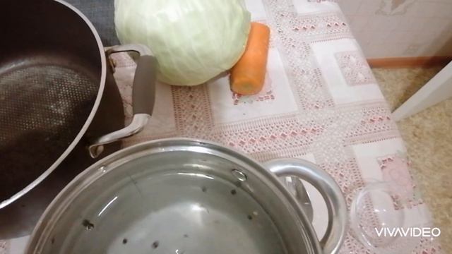 ЭКСПЕРИМЕНТЫ ПРОДОЛЖАЮТСЯ. НА ПОВЕСТКЕ ДНЯ-КАПУСТА🥦🥦🥦 смотреть онлайн