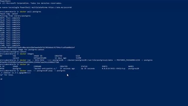 Instalando contenedor Postgres en Docker, con Windows 10 смотреть онлайн