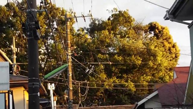 嵐　（季節・春/都内）finepix s9900w смотреть онлайн