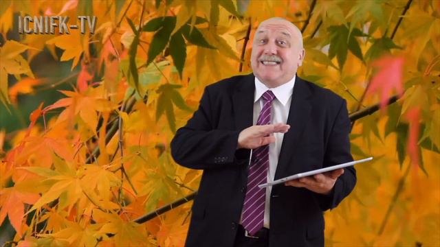 Капитальные размышления. Сага о GameStop, или как 