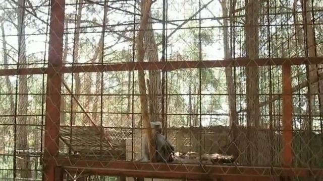 Зоопарк Sarnıç tepe hayvanat bahçesi . Kumluca: Türkiye смотреть онлайн