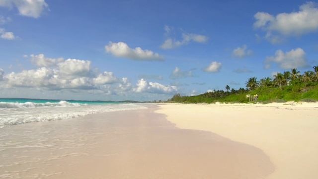 Pink Sand Beach, a Legendary Beach in The Bahamas смотреть онлайн