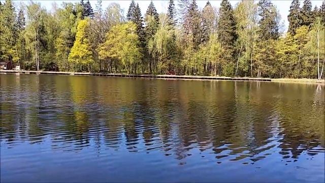 Норма по осетру за два часа рыбалки, нижний пруд Клёвое место Лосиный остров смотреть онлайн