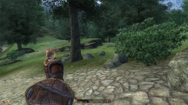 Your Money Or Your Life