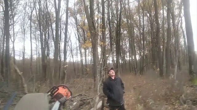 В лес, по дрова ? смотреть онлайн