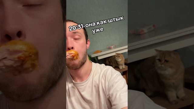Напиши кого ты больше из животных любишь? и да 👍🏻поставить не забудь обнял #животные #дружба смотреть онлайн