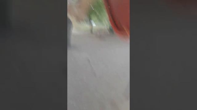 Тупая ведьма гадалка #2 чуть не сломал шею