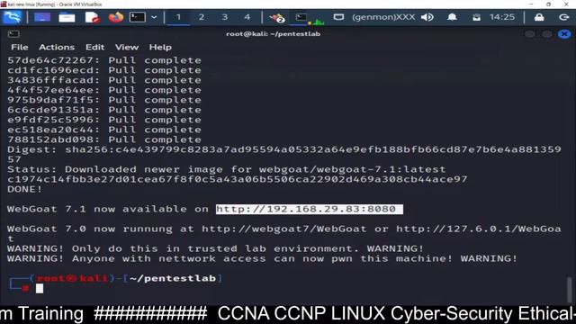 OWASP Webgoat Setup to Find Vulnerabilities in JAVA Based Applications смотреть онлайн