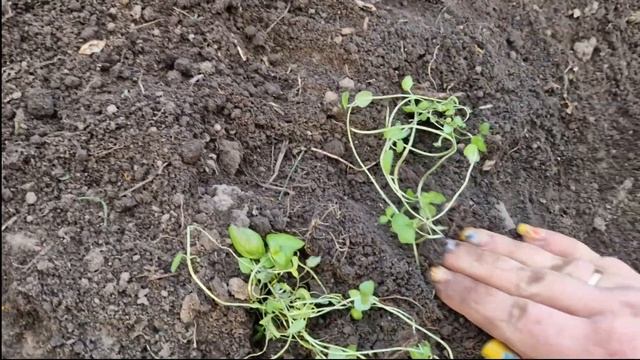 Йога и Медитация