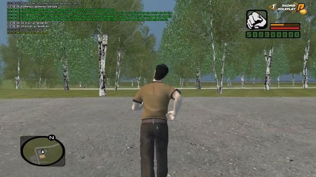 СЛИВ МОДА RADMIR RP CRMP - ЛЕТНЯЯ ВЕРСИЯ МОДА В GTA SA смотреть онлайн