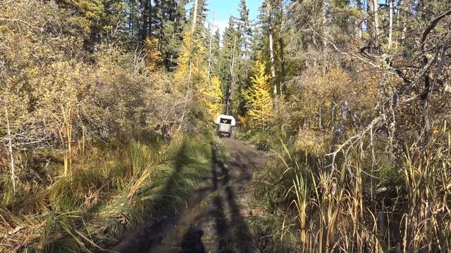 I Take My In-laws Through "A" Trail With The Sherp! смотреть онлайн