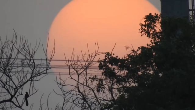 Zooming Sun spots using Nikon coolpix P900 смотреть онлайн