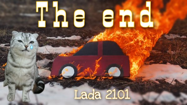 Сожгли машину кота