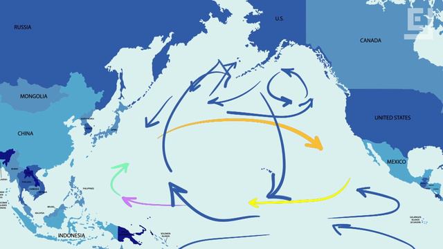 The Great Pacific Garbage Patch Is More Than Twice the Size of Texas смотреть онлайн