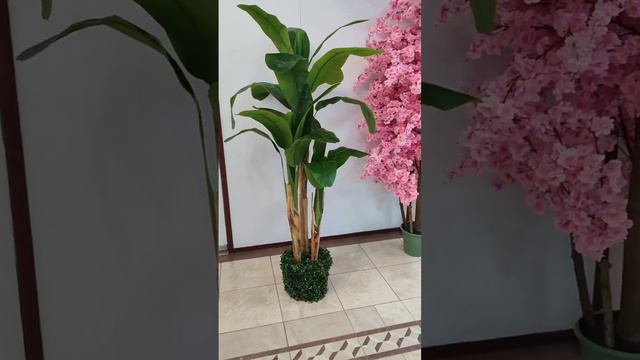 Пальма Банановая, искусственное растение. Отделка технического горшка самшитом. смотреть онлайн