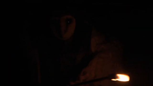 Cailleach's Journey (2020) смотреть онлайн