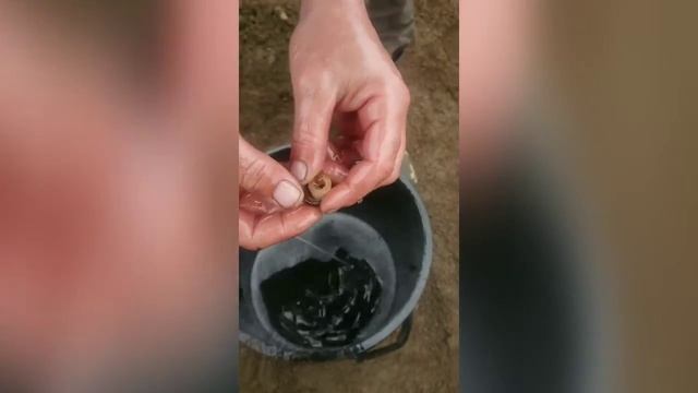 Разборка и сборка смазочной станции Yamada Kpl - 24