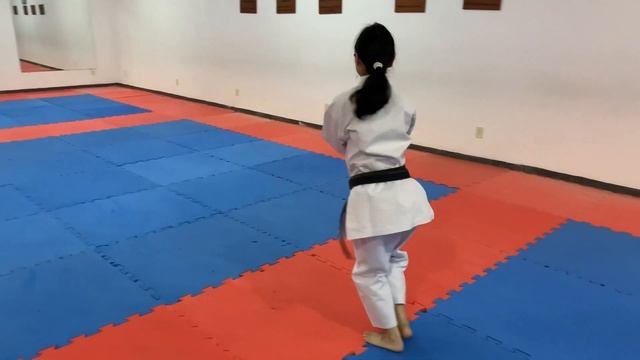 Jiin Kata Karate Shotokan смотреть онлайн