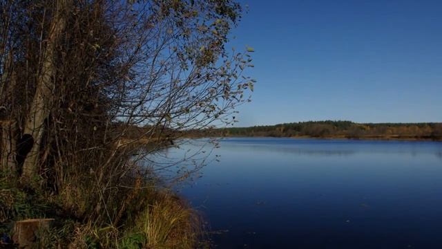 река Медведица осенью (Тверская область) смотреть онлайн