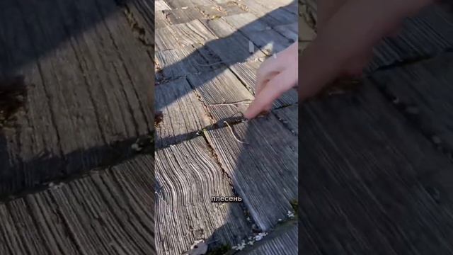 Что произойдет с деревянной крышей после 7 лет эксплуатации в жестких условиях? #деревянныйдом#кело смотреть онлайн