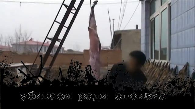 desEARTH ru смотреть онлайн