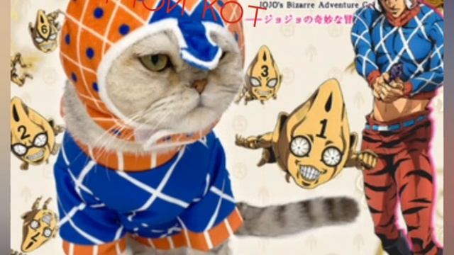 ДЖО ДЖО КОТЫ #коты #джоджо смотреть онлайн