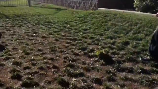 Part 1 of the grass game смотреть онлайн