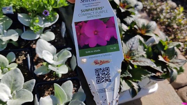 Planting First Annuals Of The Season!! Come Shopping & Plant With Me!🌸