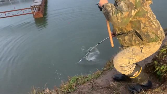 Поимка на бело-зелёный бобер смотреть онлайн