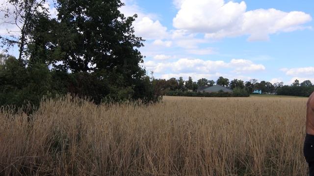 Взрывные упражнения с гирей смотреть онлайн