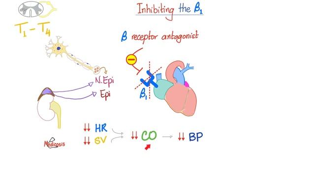 Pharmacodynamics _ Quick Review _ Pharmacology Lectures.mp4 смотреть онлайн
