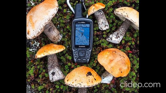 Навигатор GARMIN GPSMAP 64ST Распродажа. смотреть онлайн