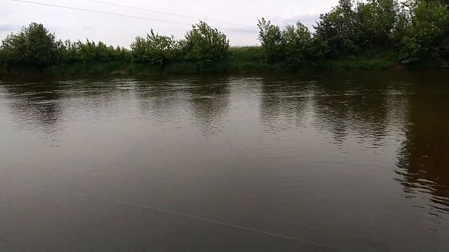 Рыбалка на закидушку на Клязьме (первый блин комом:) смотреть онлайн