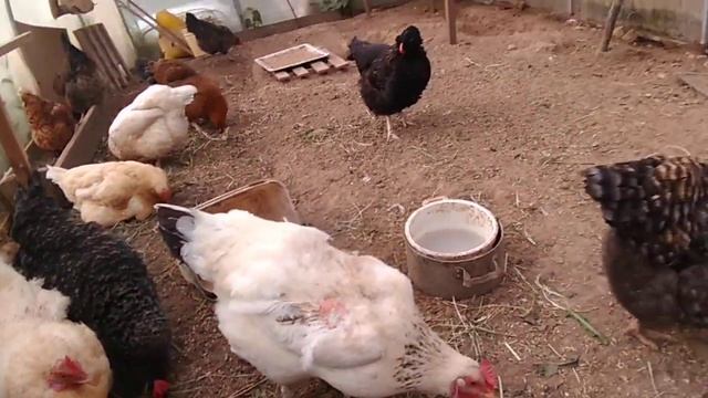 История из детства. Заставляли ходить босиком, экономили на мне. смотреть онлайн
