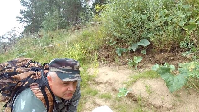 Рыбалка на спиннинг. День на лесной реке. Рыбалка в Вологодской области. смотреть онлайн