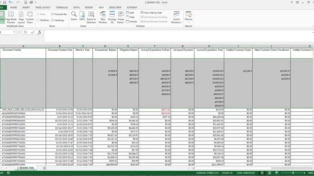 DEAMS JAVA Environment Reporting ODL Form Reports смотреть онлайн