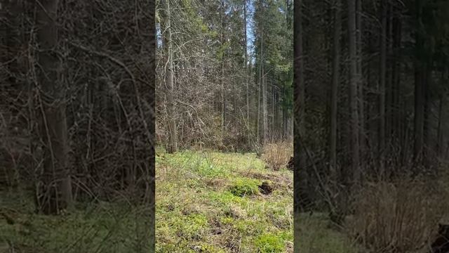 На даче смотреть онлайн