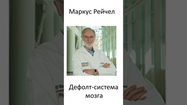 Дефолт-Система Мозга (Default mode network -DMN) - открытая Маркусом Рейчелом (Marcus E. Raichl) смотреть онлайн