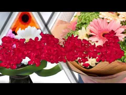 Шуточное музыкальное поздравление к празднику 8 Марта. смотреть онлайн