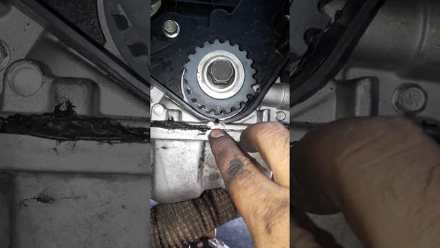 FALLA EN BANDA DE DISTRIBUCION chevrolet Aveo смотреть онлайн