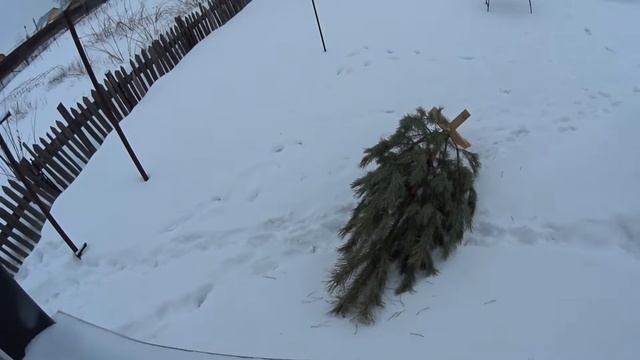хвойный отвар для бани смотреть онлайн