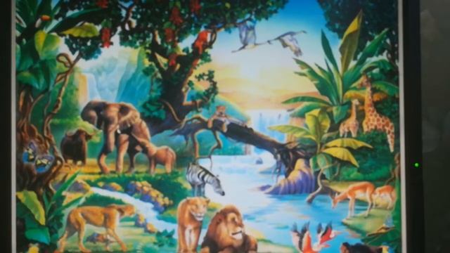 Развитие речи. Тема"Животные жарких стран" смотреть онлайн