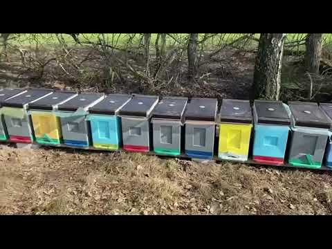 первая кочевка Пасека Sem Sot 2024