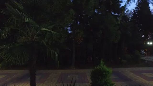 DJI PHANTOM квадрокоптер смотреть онлайн
