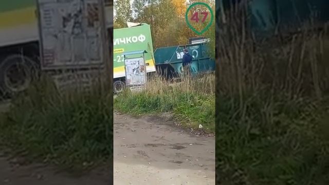 «Страх потеряли? Себе домой везите». Контейнер в Пикколово заполнили строительным мусором смотреть онлайн